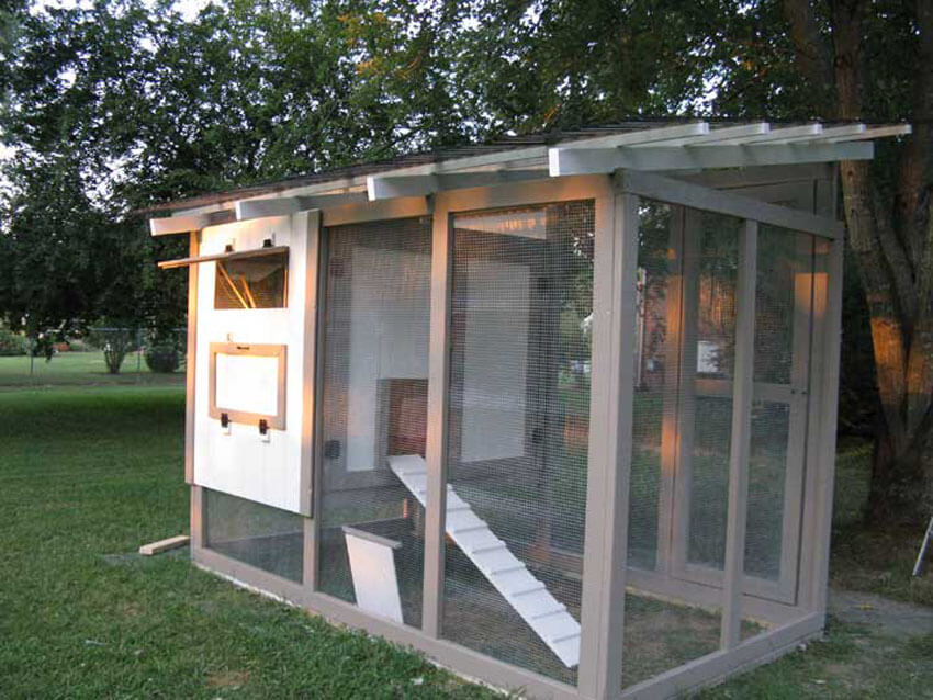 Give your chickens the home they've always wanted with these DIY chicken coop plans!