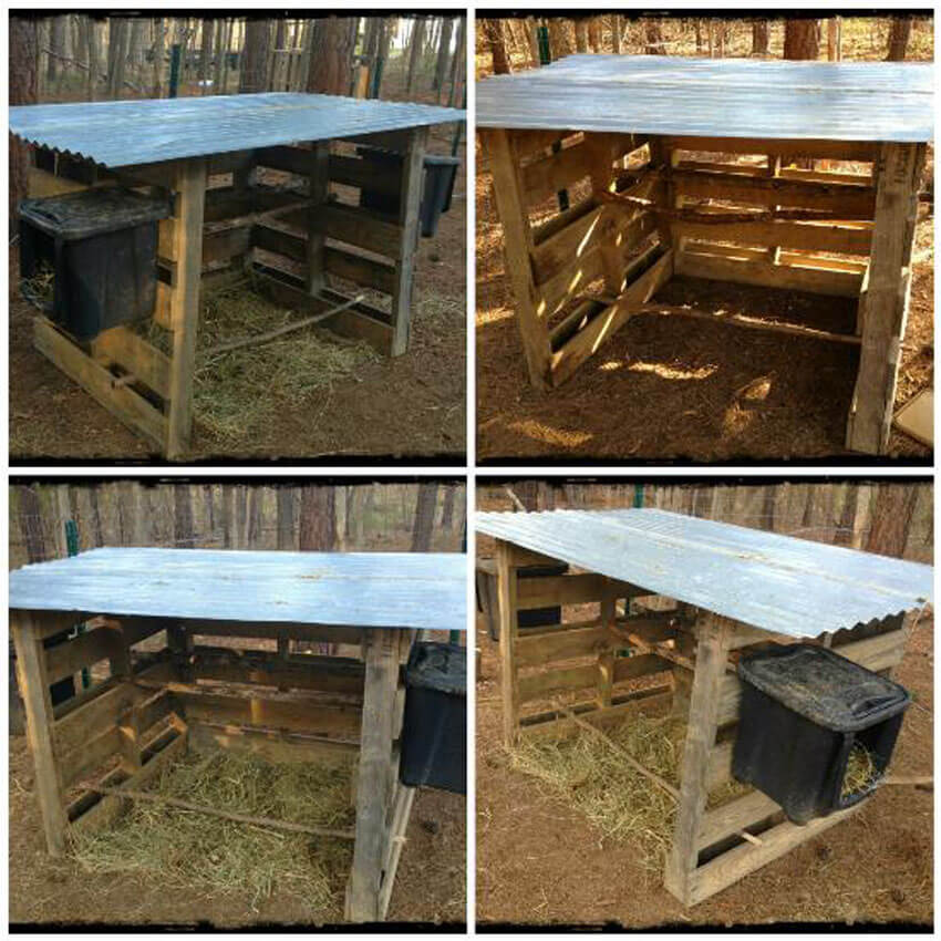 This super easy DIY chicken coop is made out of 3 pallets!