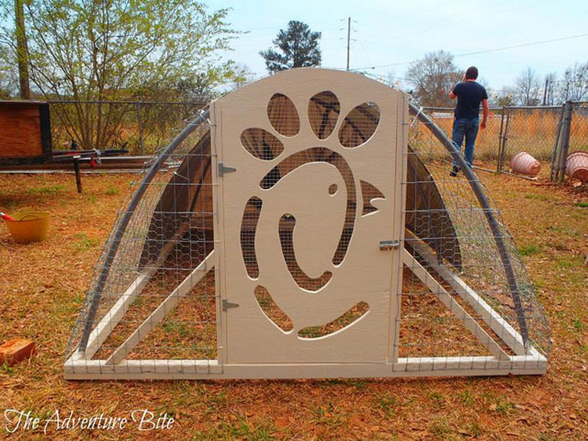 A portable chicken coop is great if you have a big backyard that needs some extra fertilizing.