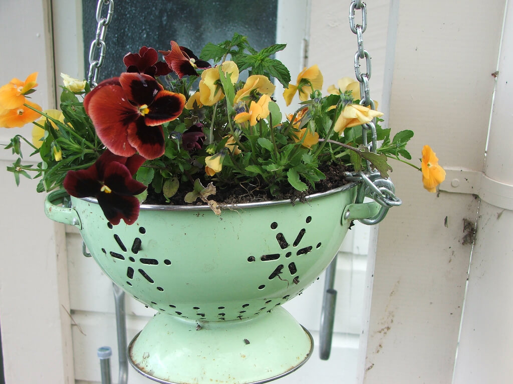 Kitchenware planter for homeowners