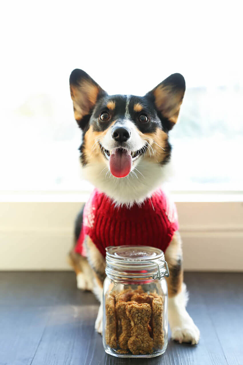 Pets love this peanut butter and banana recipe! 