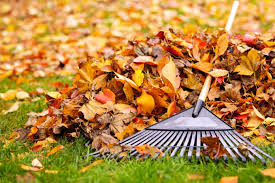 Avoid Aching While Raking: Top Tips for Quick Fall Cleanups