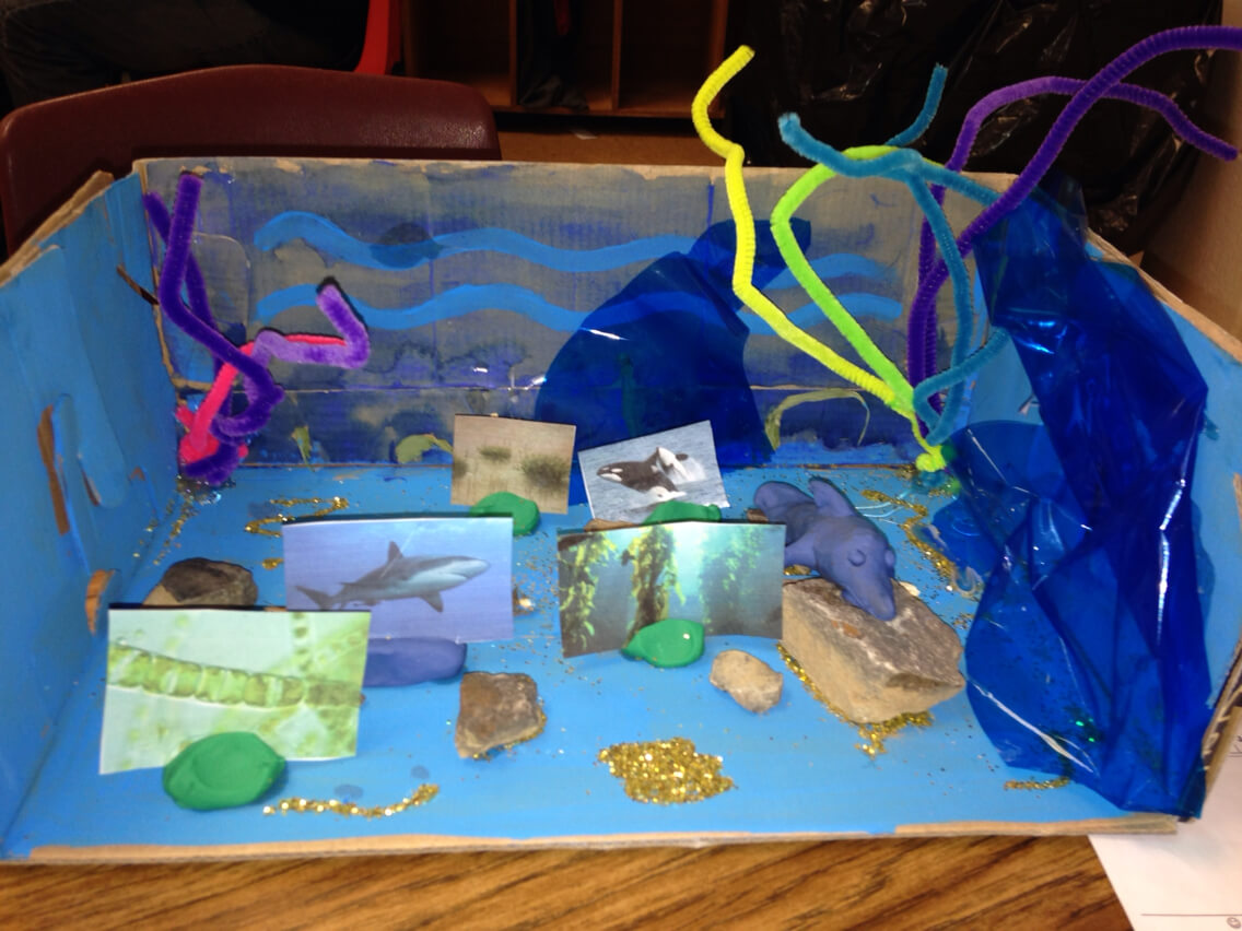 Oceanic scenic DIY crafts and projects for kids!