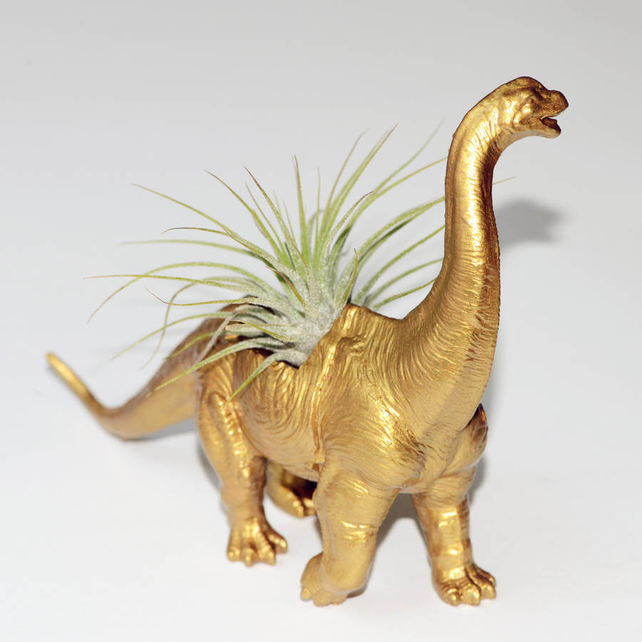 Easy DIYs to do at home: the dino planter