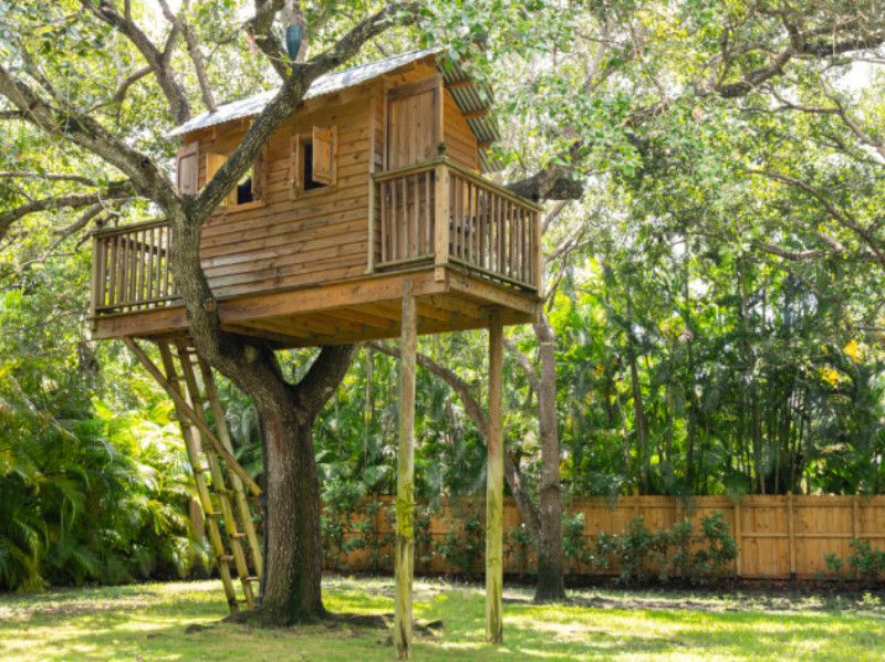 What is the Cost of Building a Treehouse?