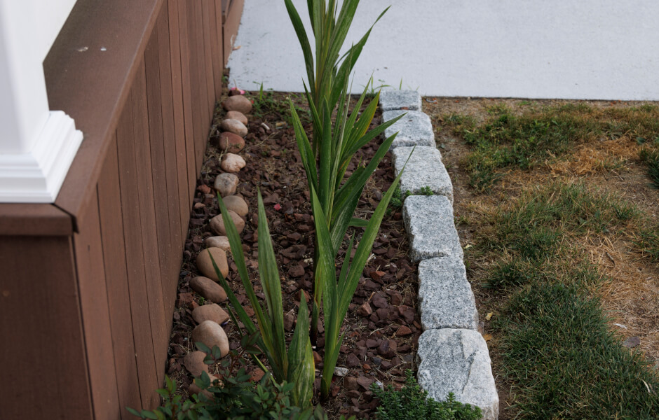 Image of a small garden bed with green plants and arranged rocks, next to a brown wooden wall.