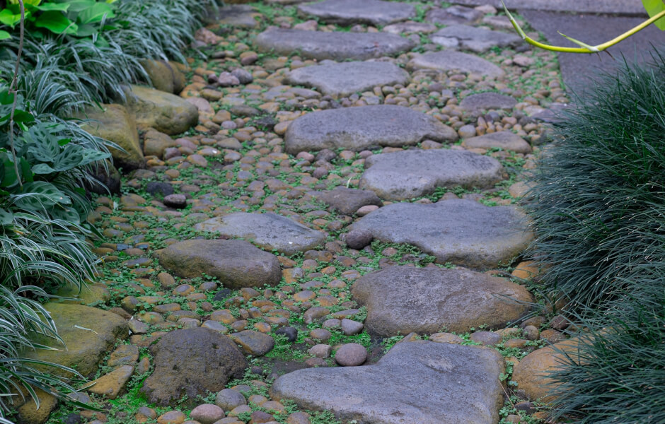 Image of a rock pathway surrounded by bushes.