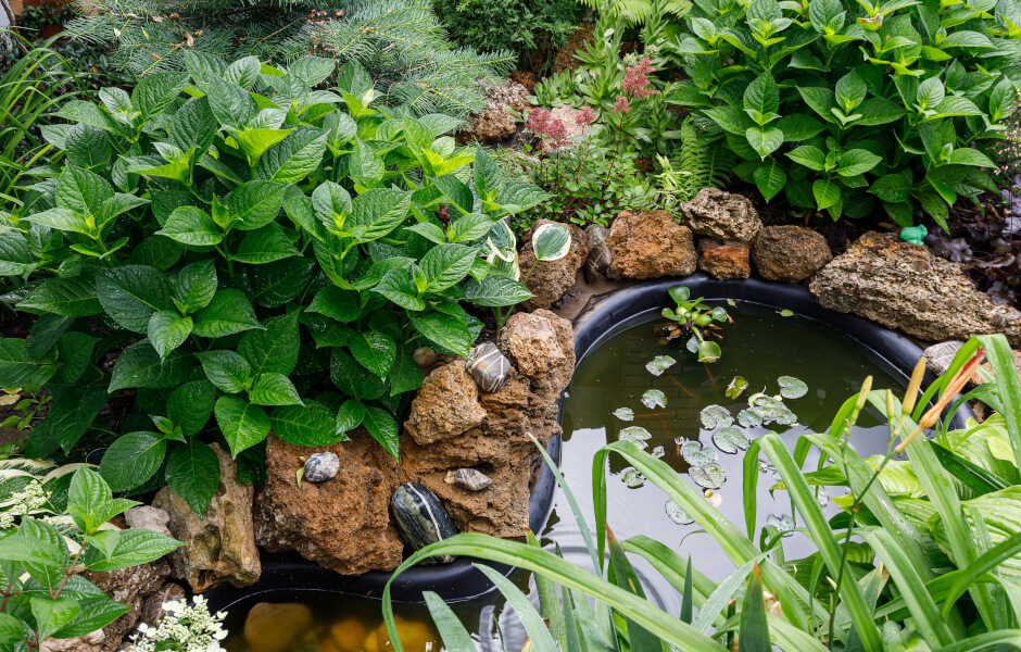 Image of a garden pond with decorative rocks, surrounded by lush greenery and water lilies.
