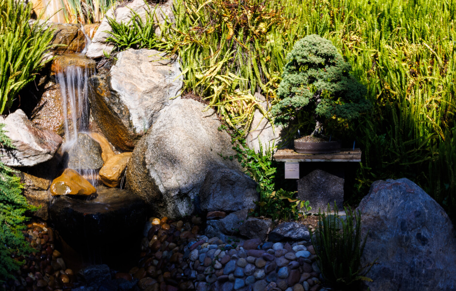 Image of a small waterfall cascading over rocks in a natural outdoor setting. The scene includes a bonsai tree and is surrounded by grass and flowers.