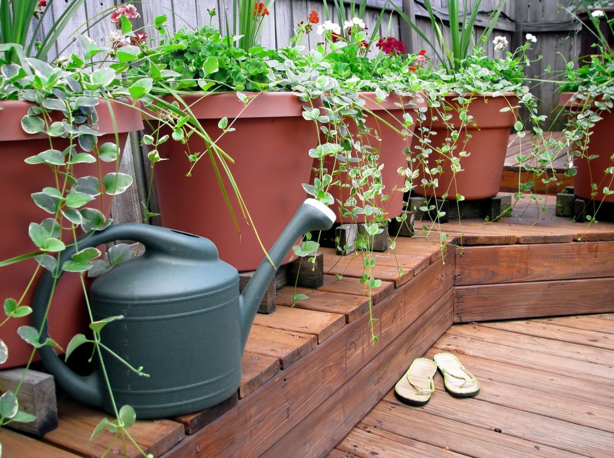 Decks require regular maintenance to keep them safe and looking great.