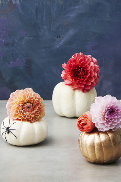 Cute little pumpkin decor