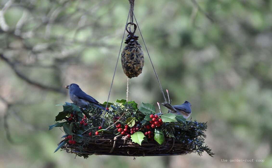 Bird feeder that's for the birds