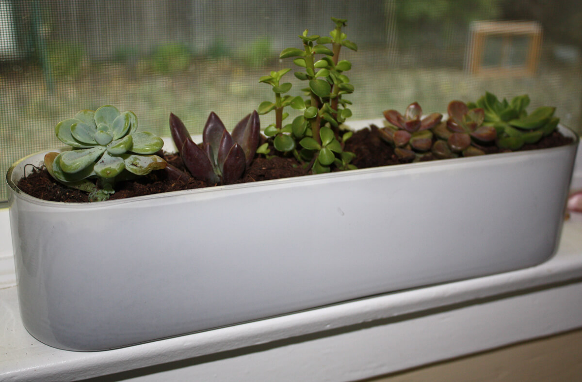 Exterior DIY doodads around your windows and sills