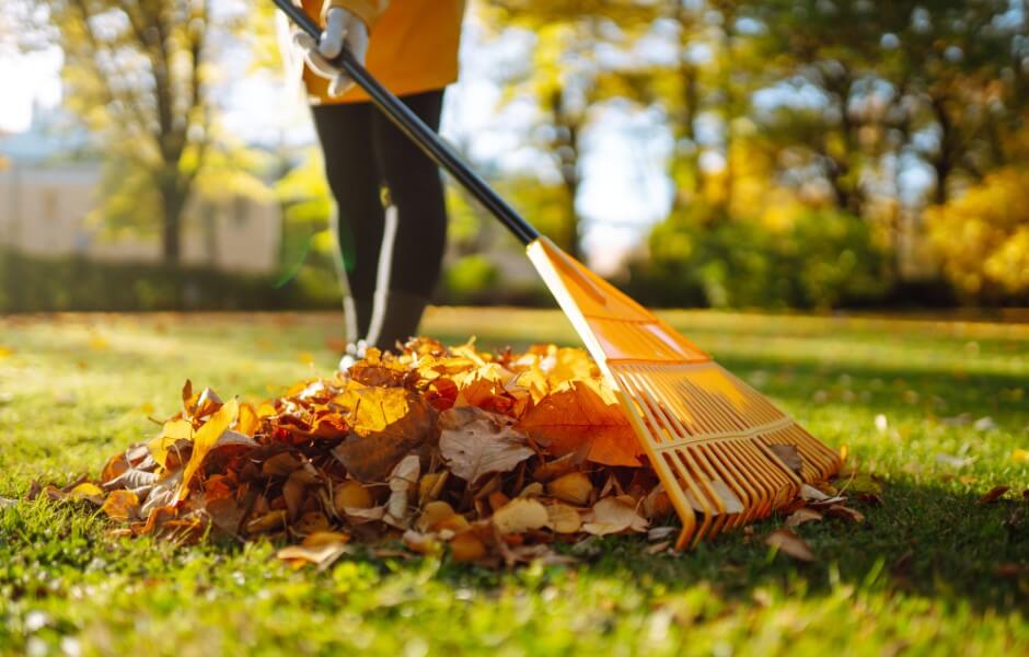 The Ultimate Checklist For Fall Yard Clean-Up