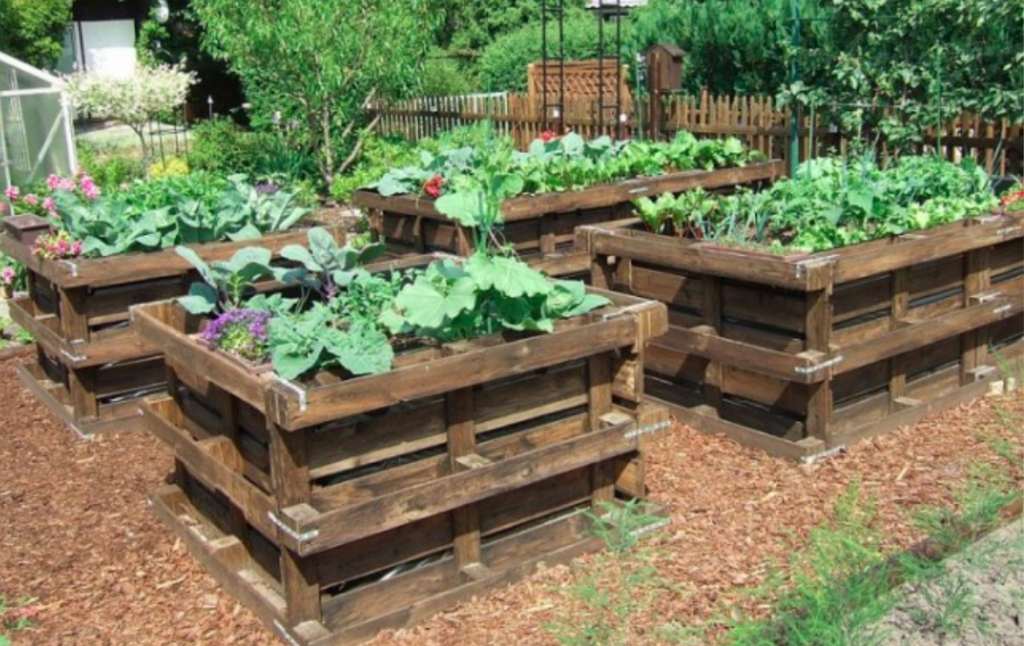 7 Unique Garden Ideas Using Pallets That Will Enhance Your Backyard