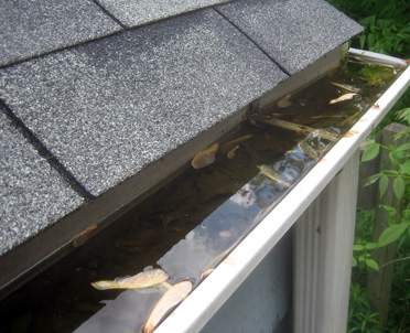 Guide to Gutters