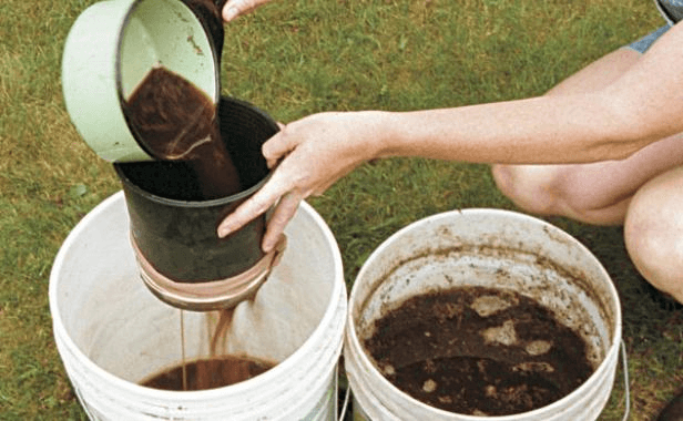 How to Make Compost Tea