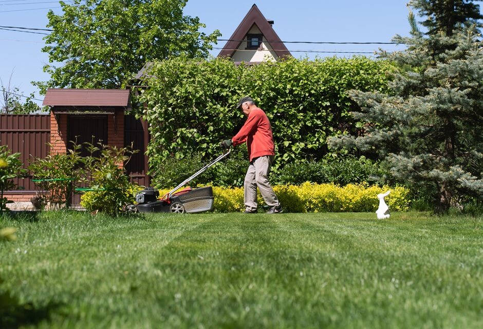 How Often To Mow Lawn: For A Healthy Lawn Year-Round