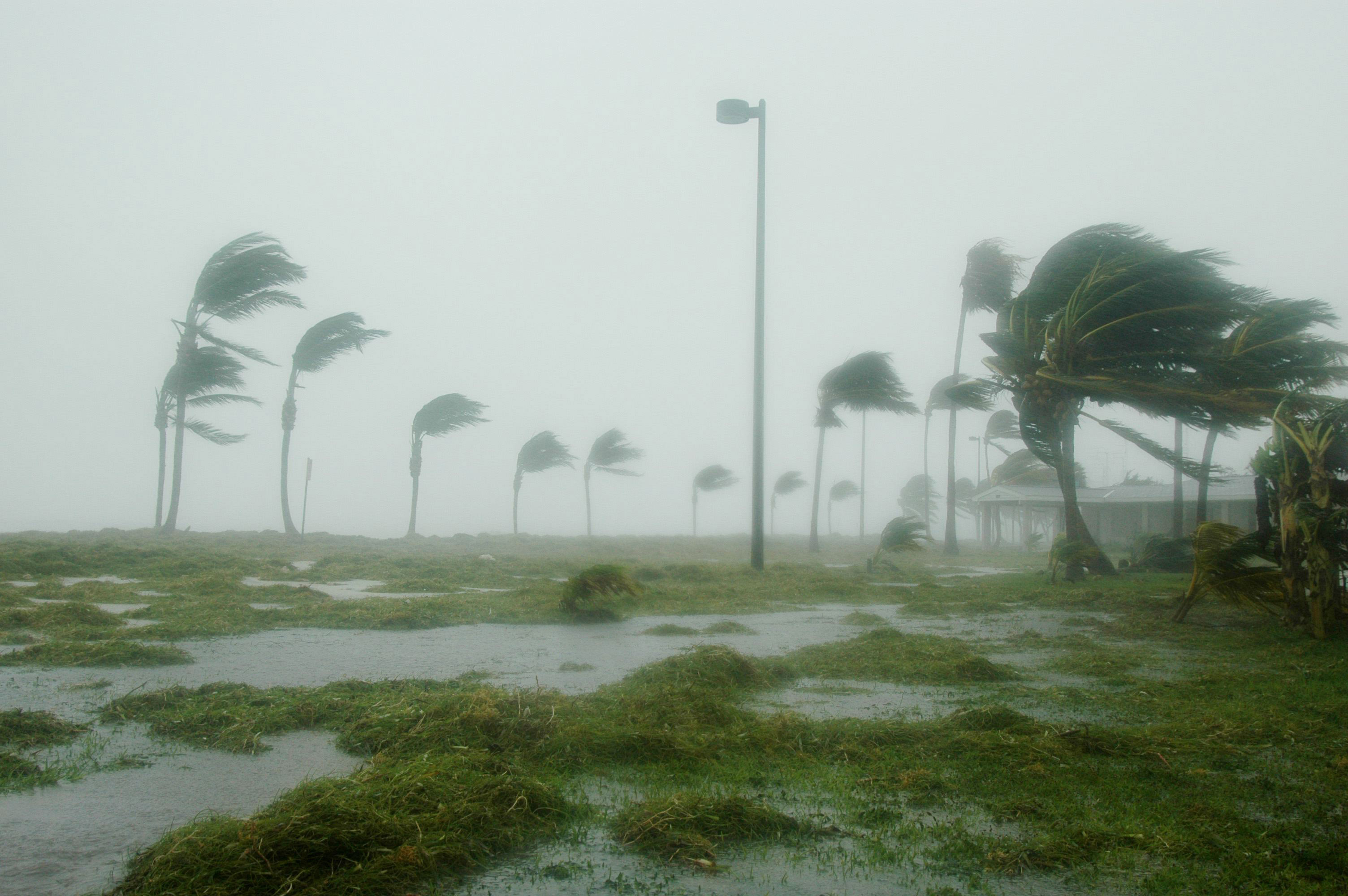 Prepare for an oncoming hurricane with this article