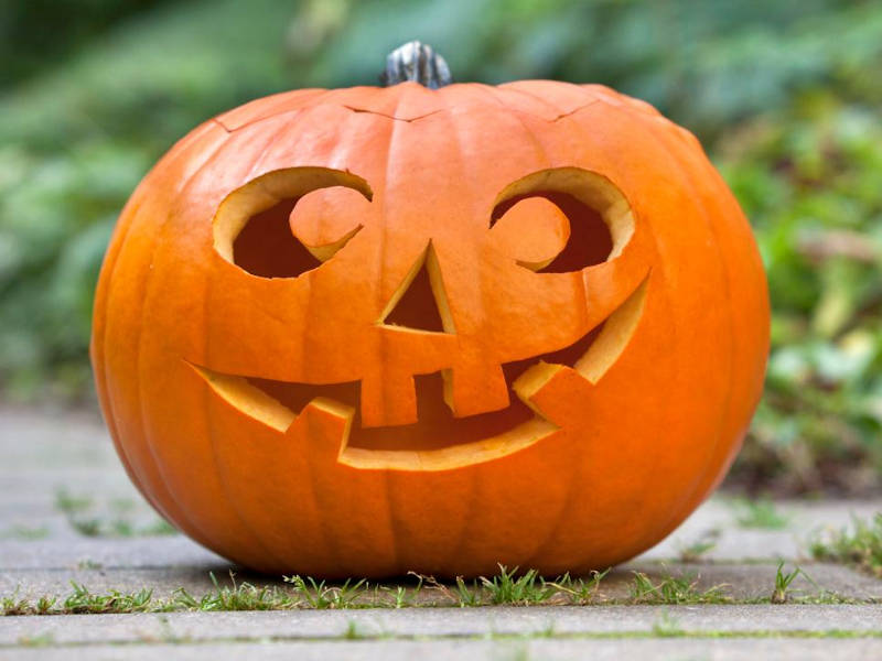 Toddler Pumpkin Carving Ideas