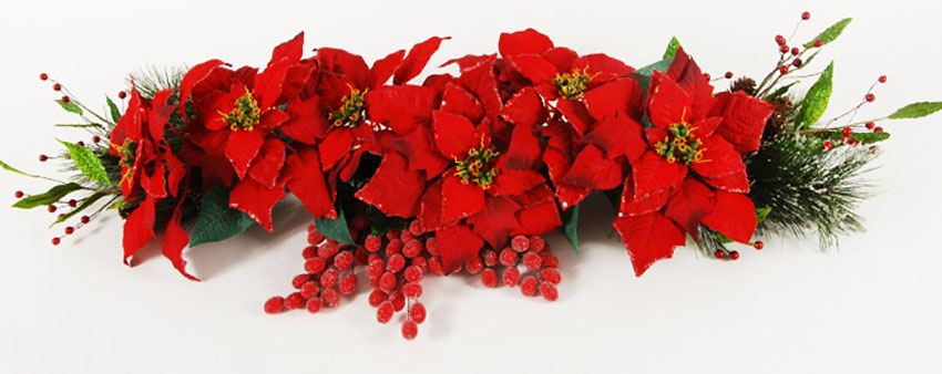 Poinsettias Decorating