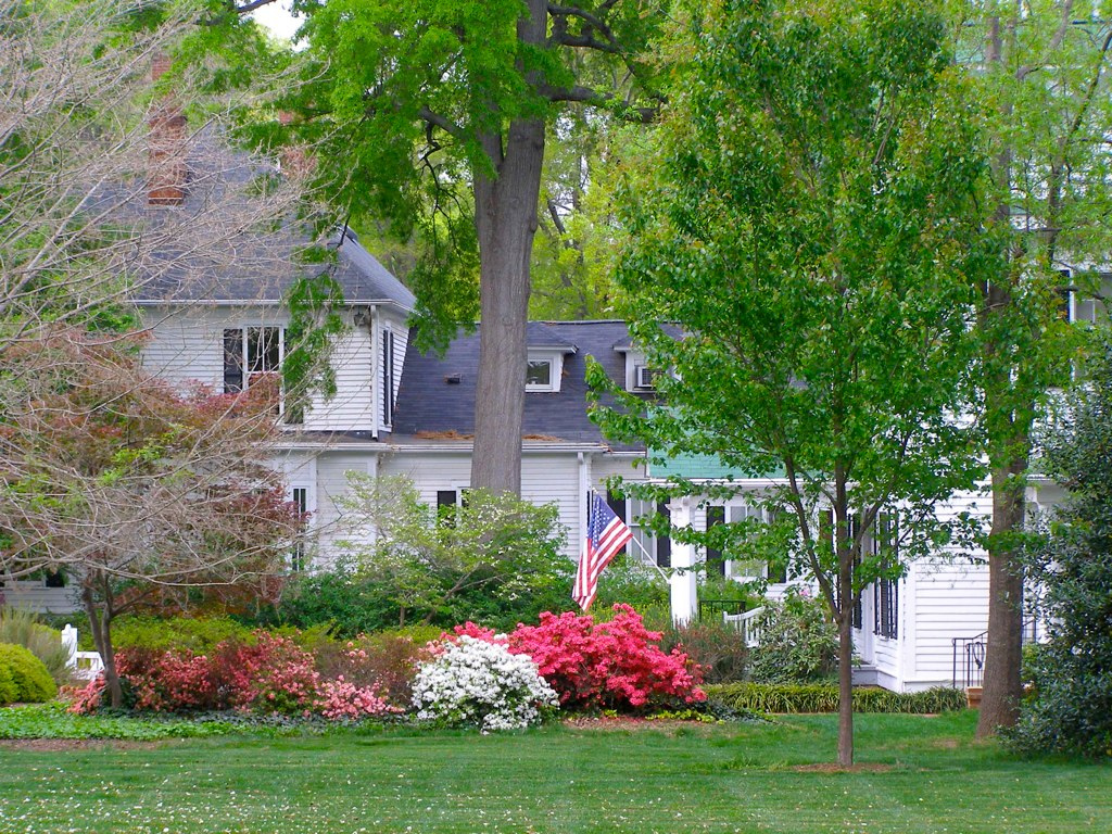 Surefire Spring Tree Care Solutions