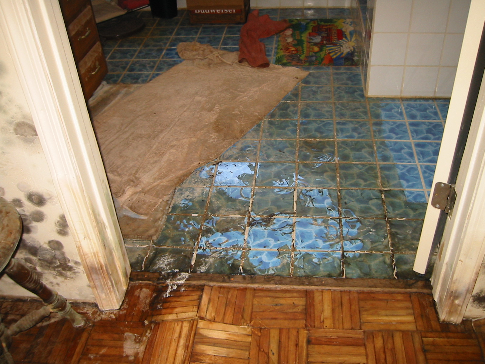 What to Do When You Have Water Damage