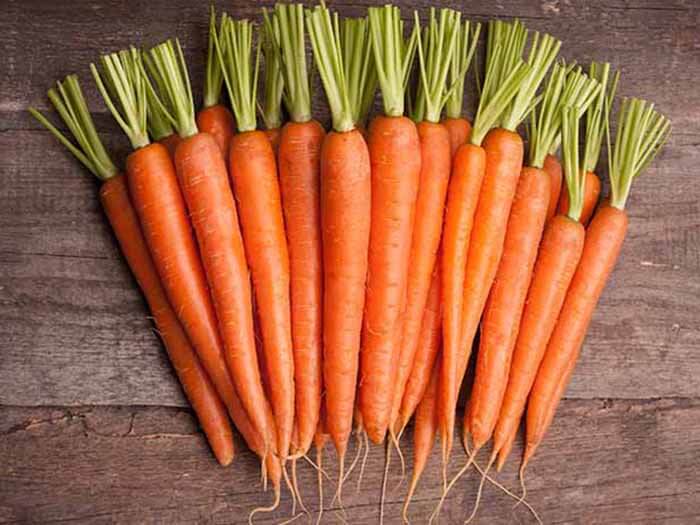 Have you tried planting carrot in a different season?