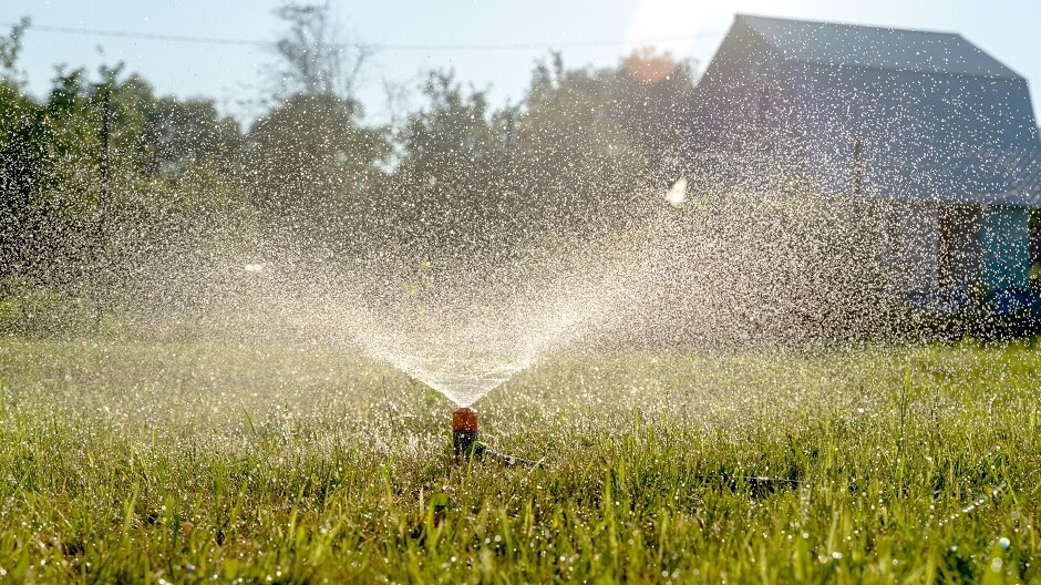 Too little or too much water grass